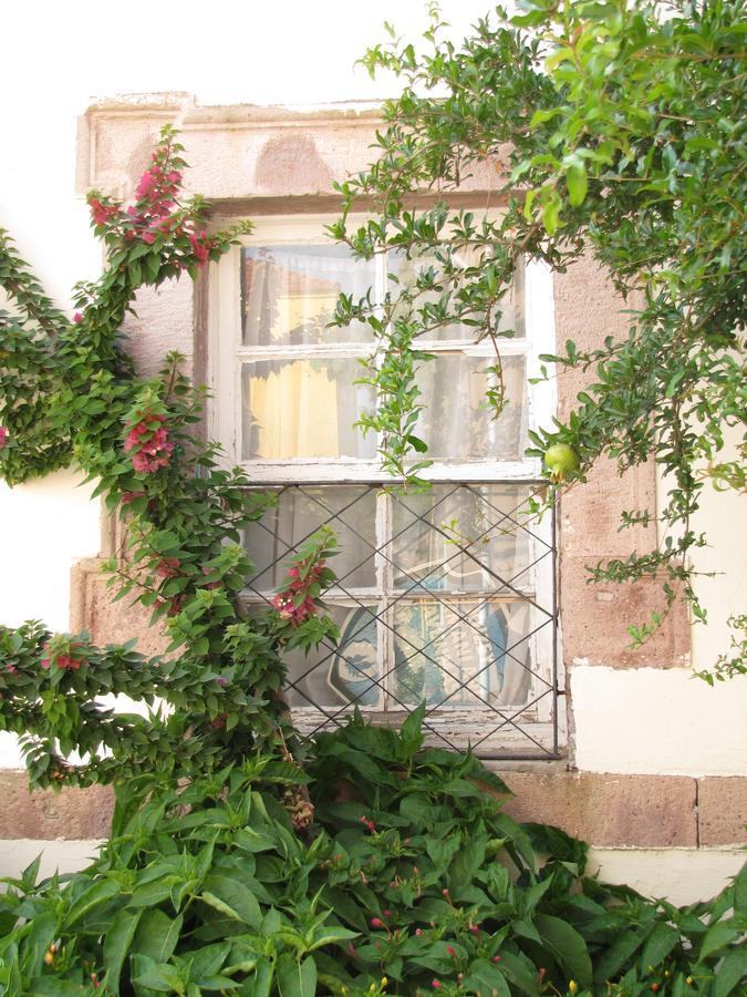 Eolos House Cunda Ayvalı 外观 照片